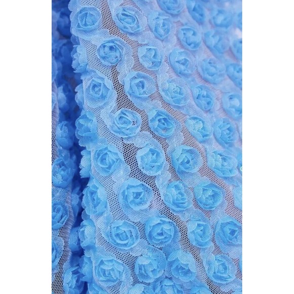 Zara Top Women's Small Blue‎ Floral Roae Bud Tulle Puff Sleeve Cropped Formal - Picture 10 of 11